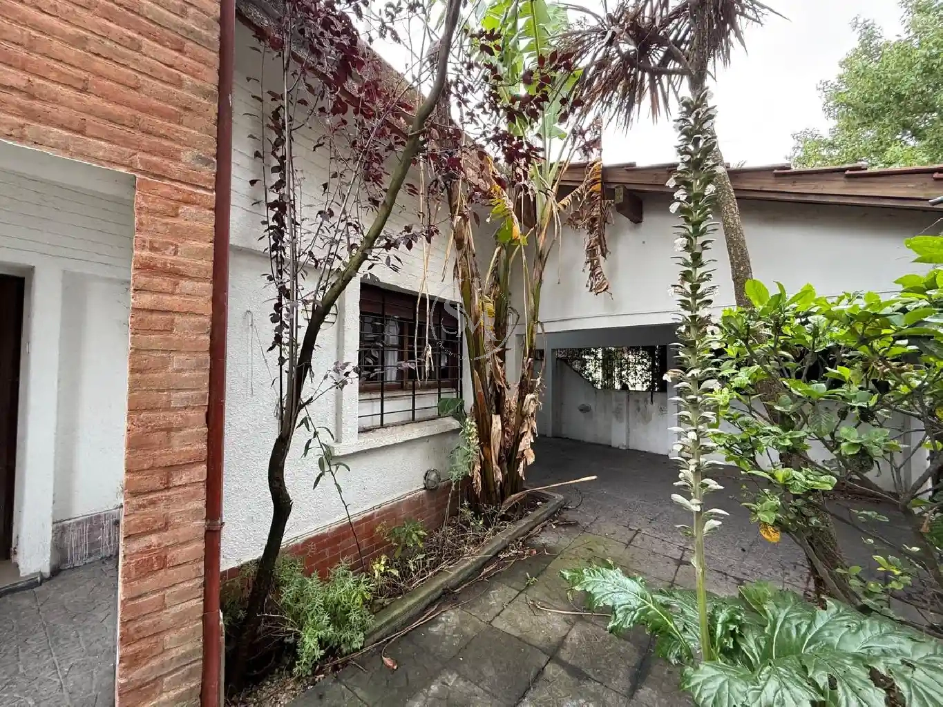 SANCHEZ MARSICO PROPIEDADES - CASA-CHALET